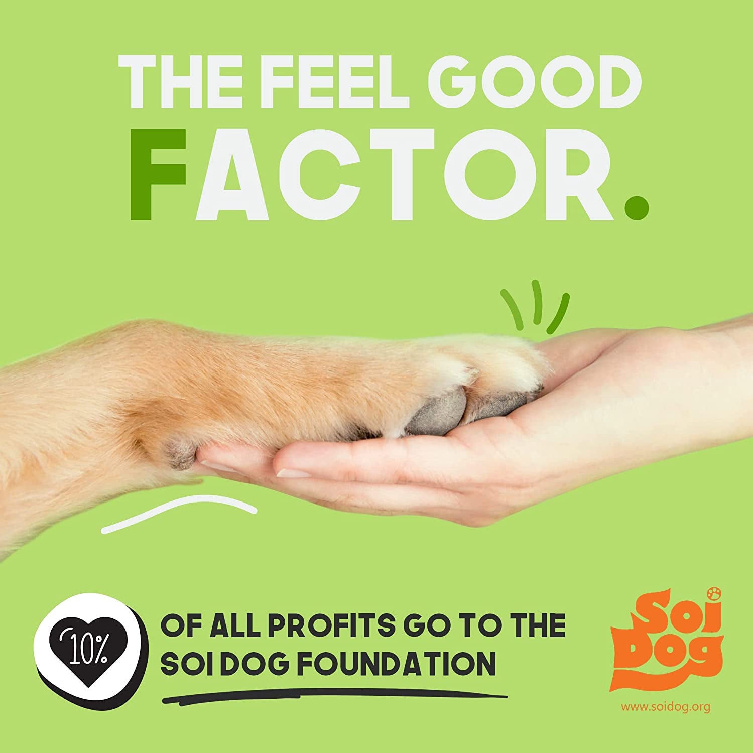 Certified Home Compostable Dog Poop Bags - 240 Pack (16 Rolls) - TUV OK HOME COMPOST Certified - Thick + Leakproof - 10% to Charity - Biodegradable Poop Bags for Dogs and Pet Waste - Doggie Supplies